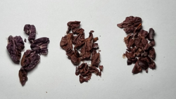 Эсмиральдас