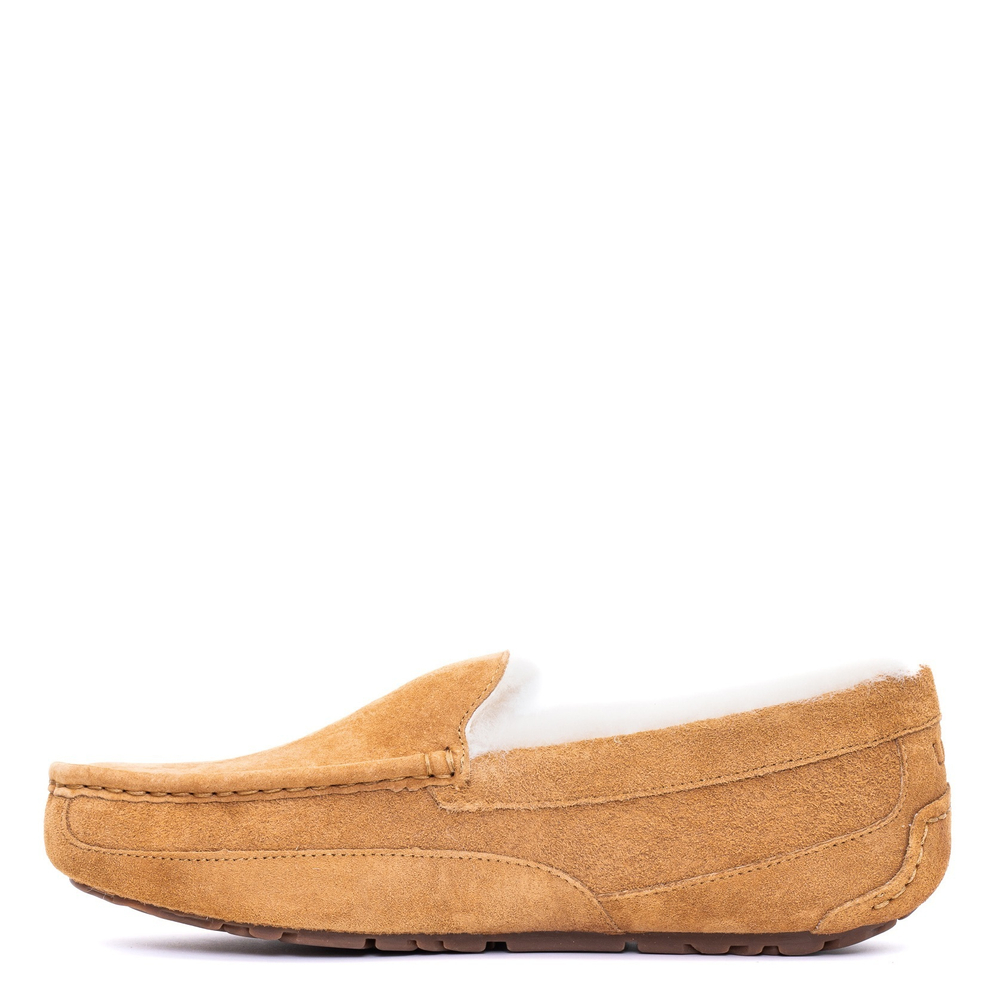 Ugg Mens Ascot Chestnut