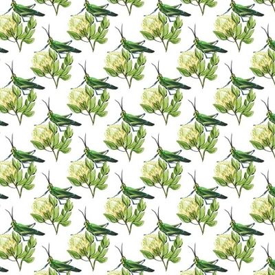 Зелёный кузнечик и желтая протея