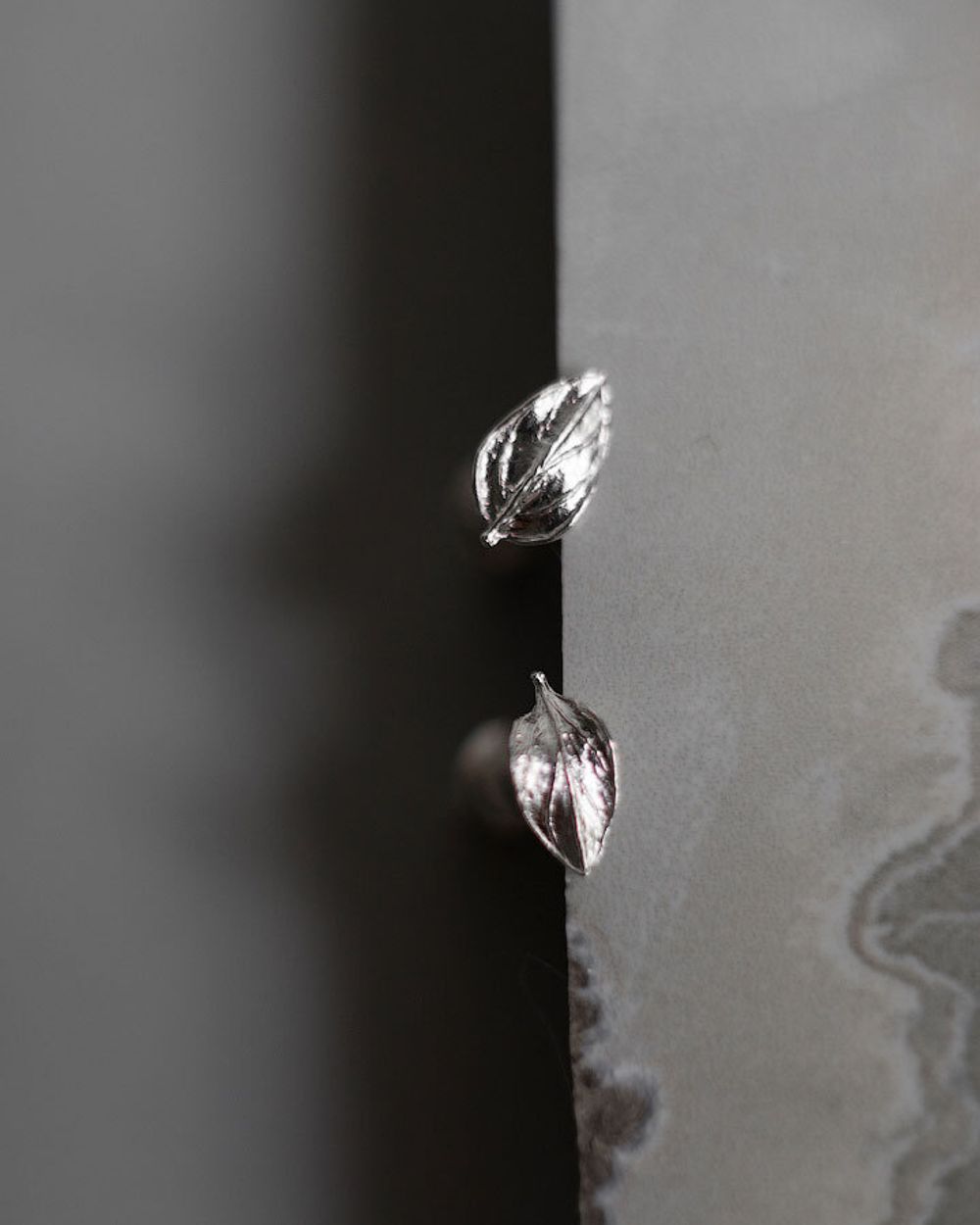 Пусеты Чабрец