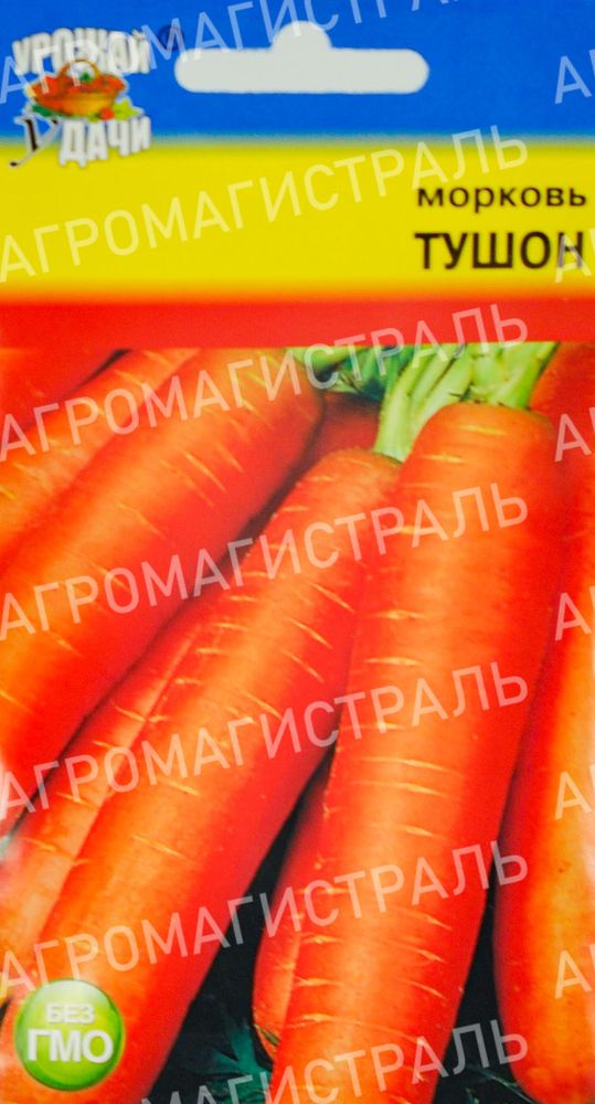 Морковь Тушон Урожай у дачи Ц