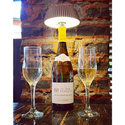 7931 Переносной уличный светильник-пробка RELAX