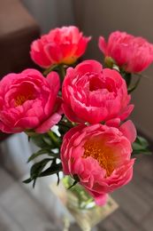 Букет «Пионы Корал Сансет»