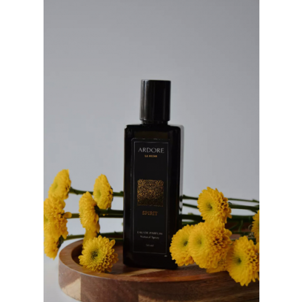 Парфюмерная вода Ardore SPIRIT унисекс 50 мл.