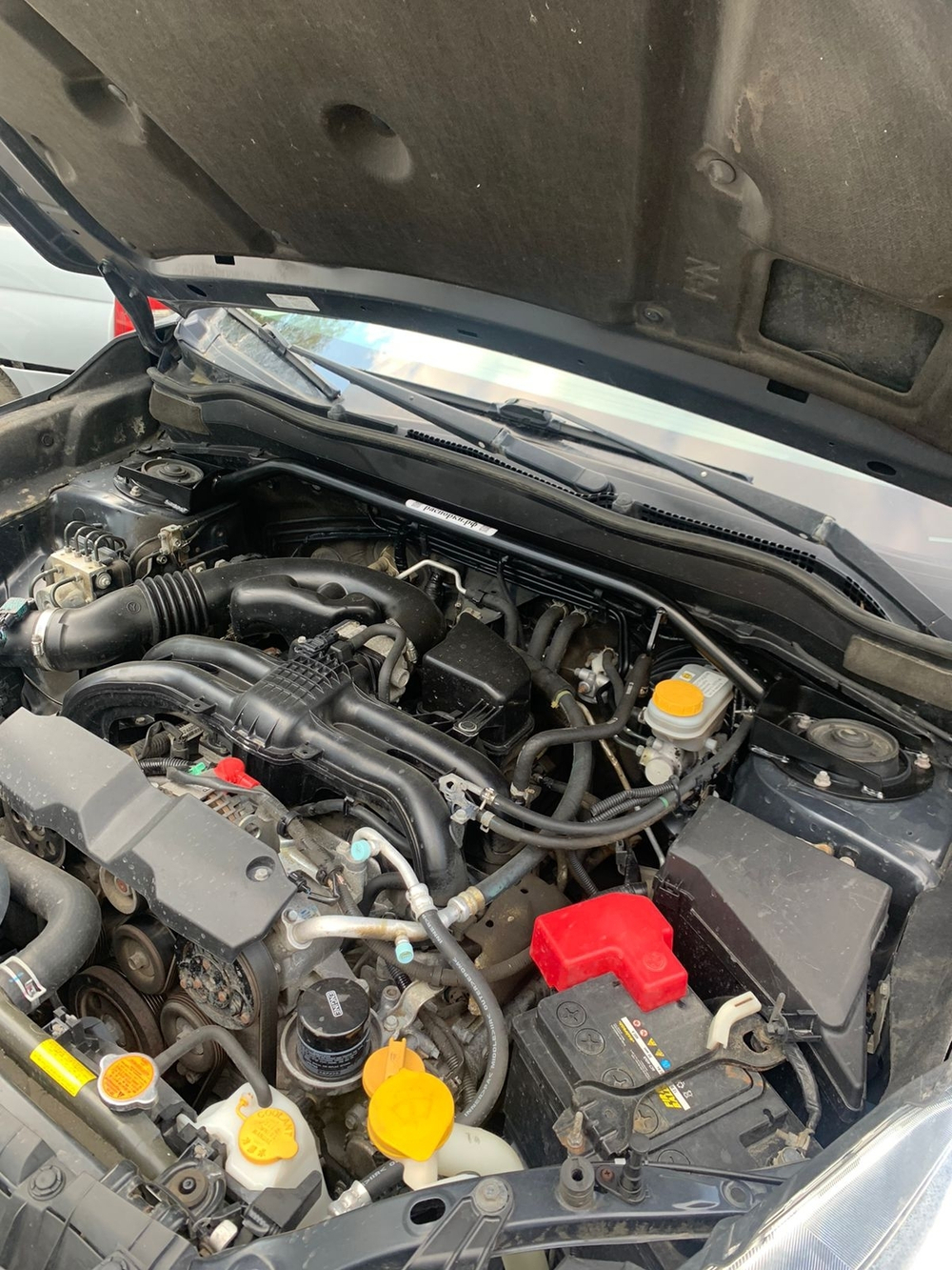 Распорка передних стоек (цельная) Subaru Forester 4 SJ