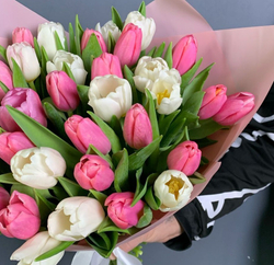 Тюльпаны Микс в упаковке