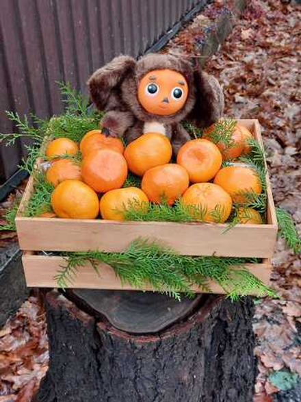 Чебурашка с 5 кг мандаринами