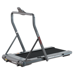 Беговая дорожка Ergonova MaxBURN+