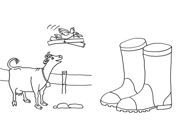 Мама Му и Кракс. Первая раскраска