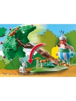 Набор Астерикс: Охота Playmobil 71160