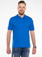 Футболка поло муж. однотонная ФПМ0005-2