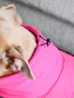 Непромокаемая попона Dog Coat BullyBillows