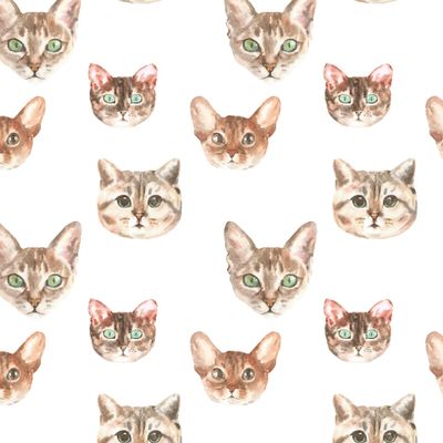 Коты акварельные, белый фон