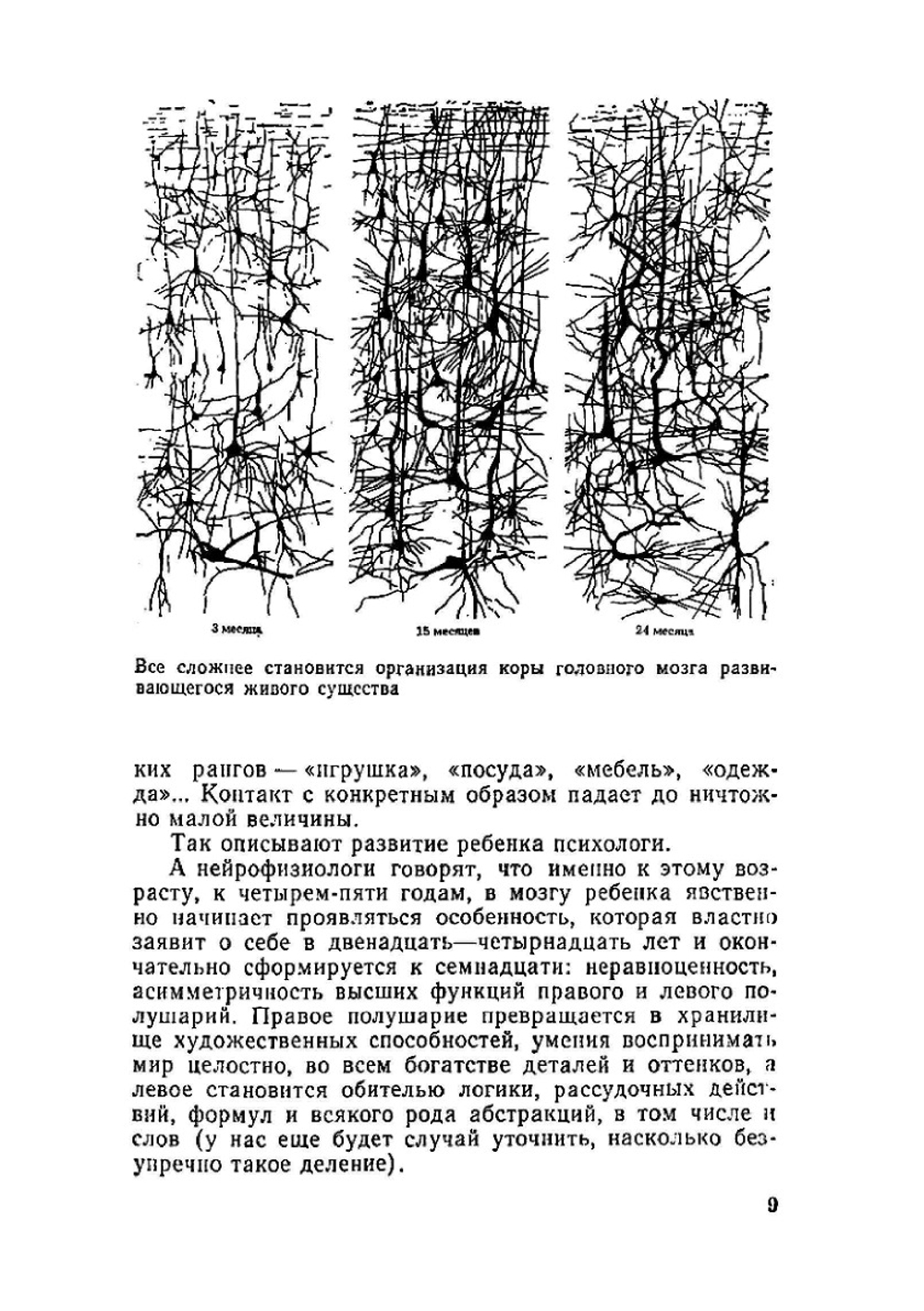 Как мы видим то, что видим | В.Е. Демидов