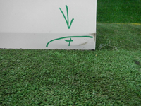 DSCN0575.JPG