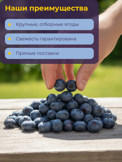 Черника садовая "Bellсhef" 2,5 кг