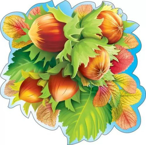 Украшение на скотче "Орехи", А4, 194*194мм, 46032 079.145