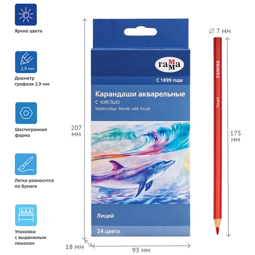 Карандаши акварельные 24 цв. Гамма Лицей + кисть