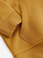 Толстовка с капюшоном для мальчика Next Q55-644, Горчичный