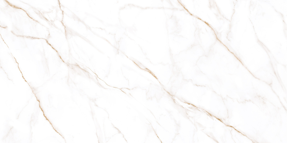 Neo Calacatta GFU60120NCL04R