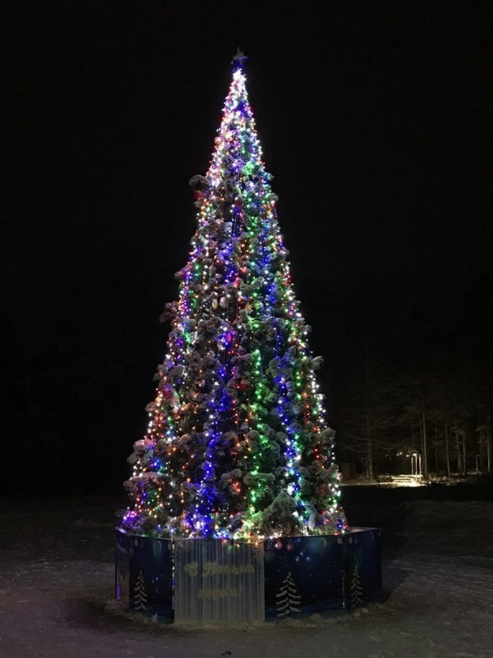 Большая елка «Рублевская сосна» (Леска) 7,5 м