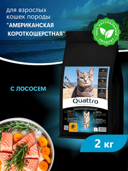 Корм сухой для взрослых кошек породы Американская короткошерстная, с лососем, 2 кг, QUATTRO