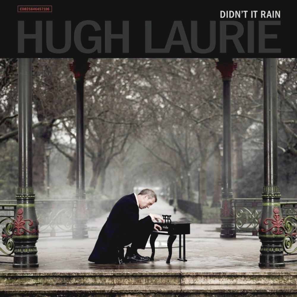 Hugh Laurie / Didn&#39;t It Rain (RU)(CD)