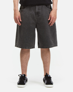 Шорты Anteater BaggyShorts-Grey
