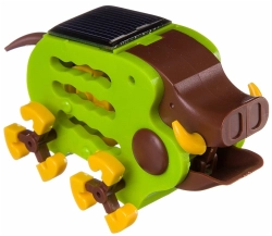 Французские опыты Науки с Буки Эко кабанчик арт ВВ2406 (BONDIBON)