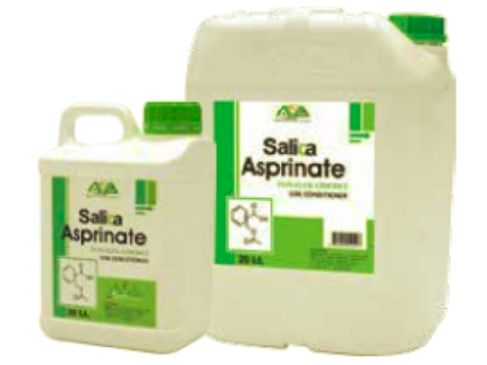 Salica Asprinate 20л