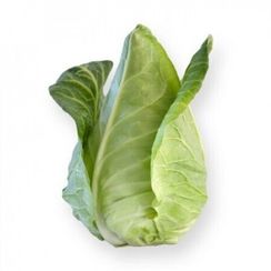 СОНСМА F1 семена капусты белокочанной (Rijk Zwaan | Alexagro)