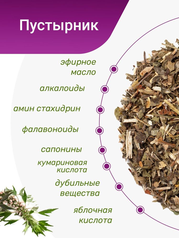 Пустырник обыкновенный