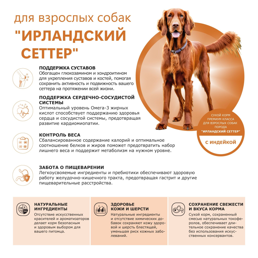Корм сухой для взрослых собак породы Ирландский сеттер, премиум полнорационный комплекс, с индейкой, 2,5 кг, QUATTRO