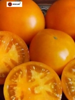 Томат Хурма желто-оранжевый 0,8г (350шт)