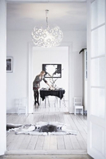 люстра Dandelion D55