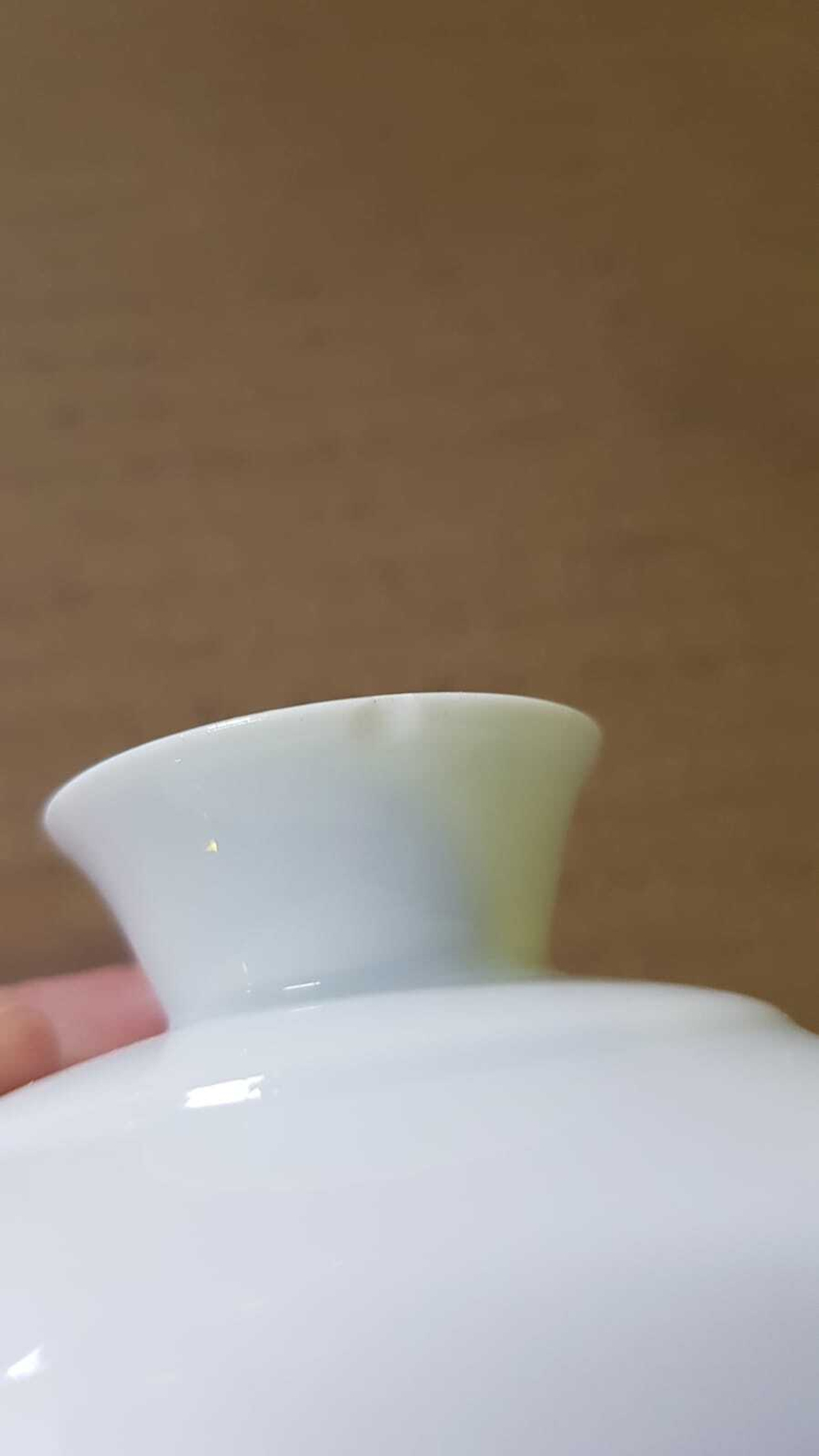 268010.3Y1 УЦЕНКА Гайвань большая ГОРНЫЙ САД "Плоды граната" , 260 мл. фарфор белый