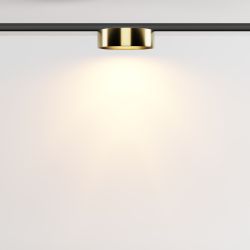 Трековый магнитный светодиодный светильник Maytoni Levity   TR189-1-12W2.7K-BBS