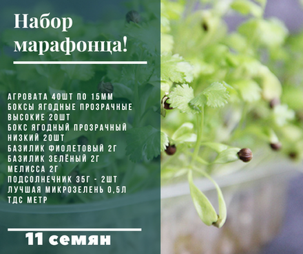 Набор марафонца