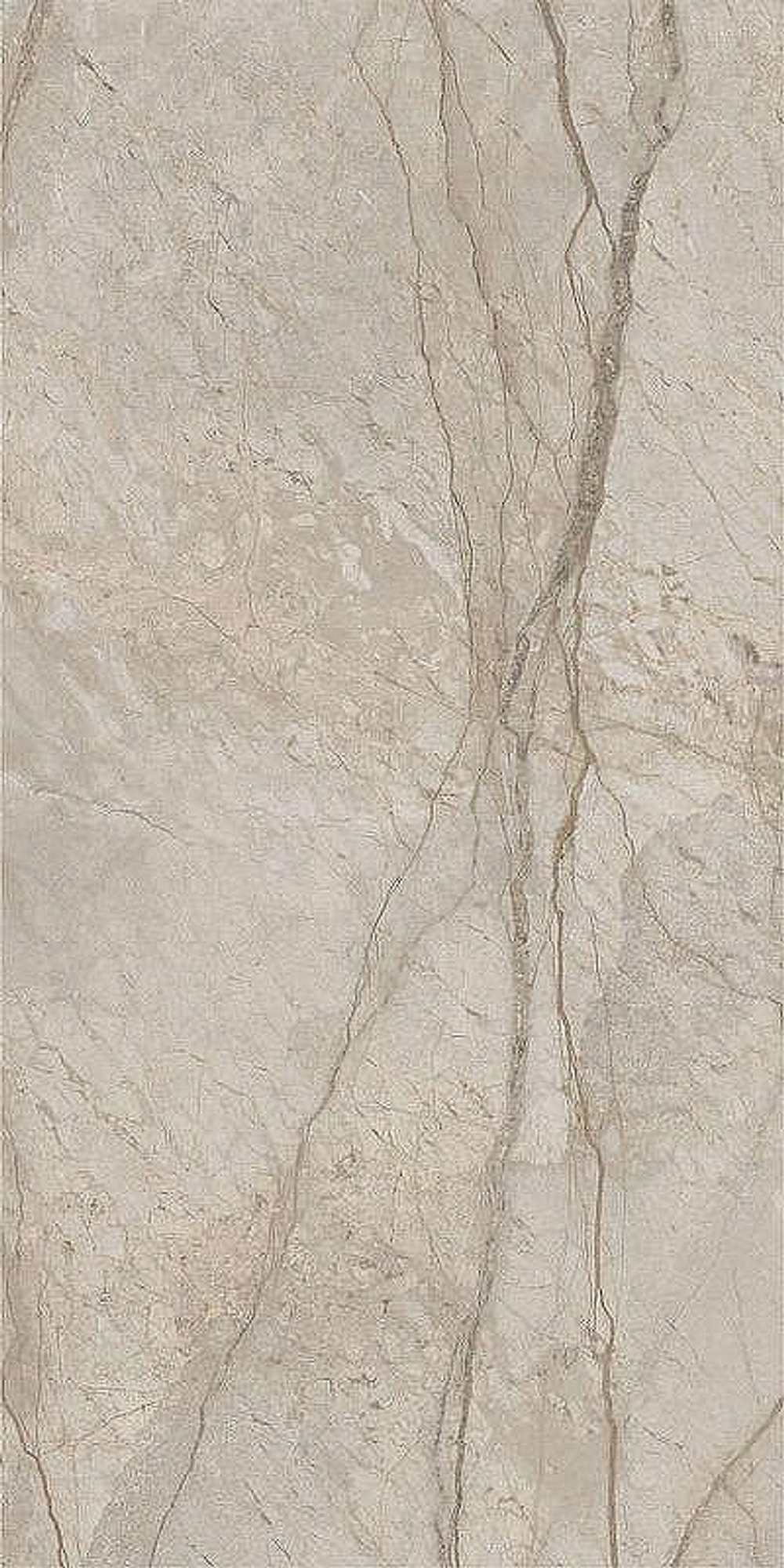 Керамогранит Italon Stellaris Elegant Silver шлиф 610015000680 60х120 см