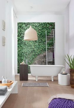 Вьюны 184x254 см