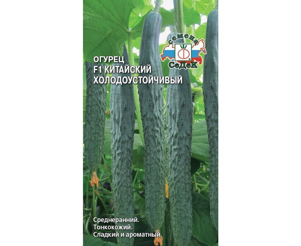 Огурец Китайский Холодоустойчивый