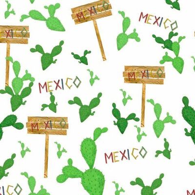 Кактусы в Мексике