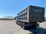 Shacman (Shaanxi) SX* 8x4 Самосвал SX331863366 (Дизельный, 12,5 л, 544 л.с., МТ)