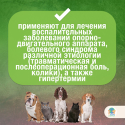 Флексопрофен VIC, раствор для инъекций для кошек, собак, крупного рогатого скота и лошадей, 5%. Кетопрофен.