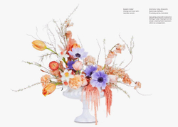 Flower Colour Theory
