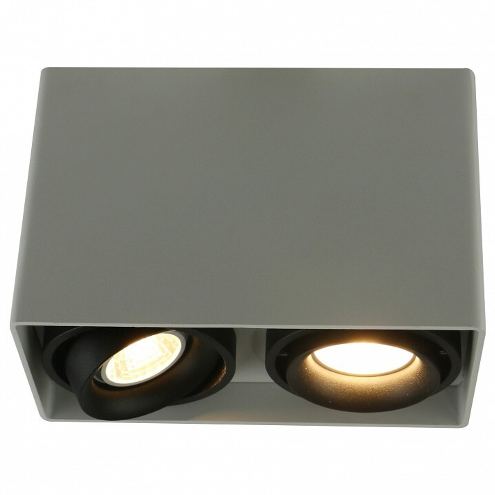 Накладной светильник Arte Lamp A5655PL-2WH