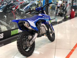 Питбайк Apollo RXF Mini 50E auto 10/10 2021 (Синий)