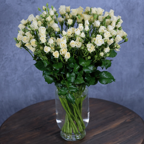 Купить Розы кустовые белые Vanilla от 5шт