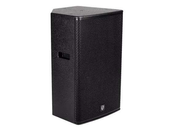 Акустическая система Intrend ILS-12