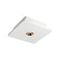 Потолочный светодиодный светильник Loft IT Architect OL1072-WG/1